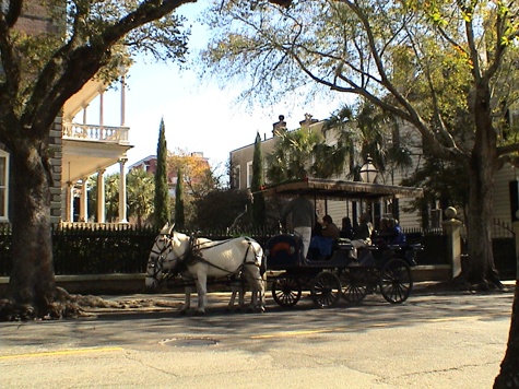 Horse and carriage