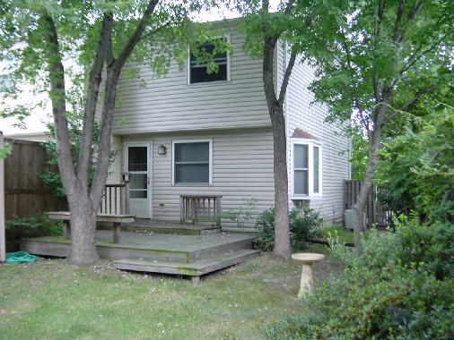 Peaceful backyard