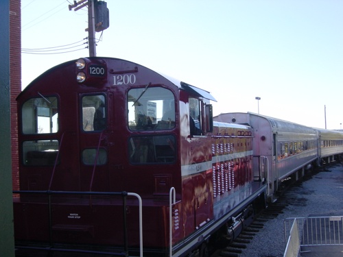 Small red shunter