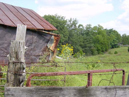 Rusty shed and gate