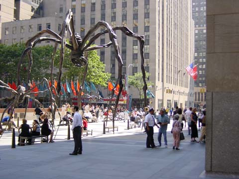 Rockefeller spiders