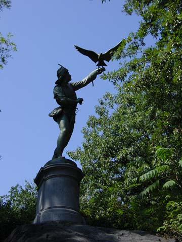 Park falconer