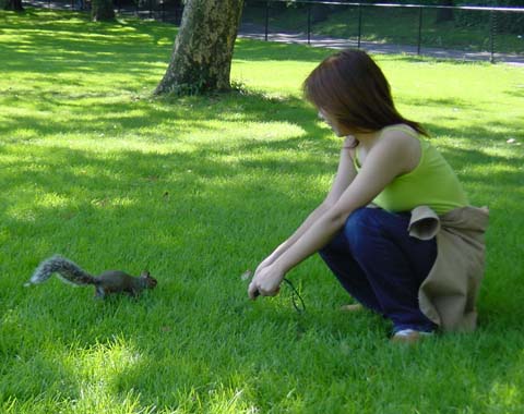 Central Park friends