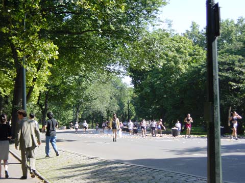 Central Park joggers